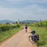 Coeur D'alsace Colmar Vignobles Ouest Avec Terrasses *