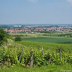 Coeur D'alsace Colmar Vignobles Ouest Avec Terrasses