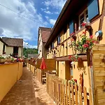 Coeur D'alsace Colmar Vignobles Ouest Avec Terrasses Villa