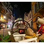 Coeur D'alsace Colmar Vignobles Ouest Avec Terrasses *