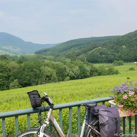 Coeur D'alsace Colmar Vignobles Ouest Avec Terrasses *