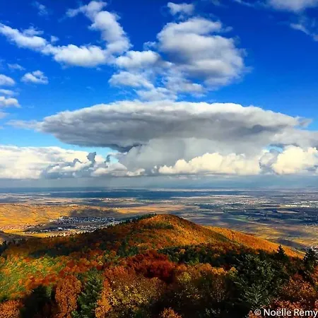 Villa Coeur D'alsace Colmar Vignobles Ouest Avec Terrasses *