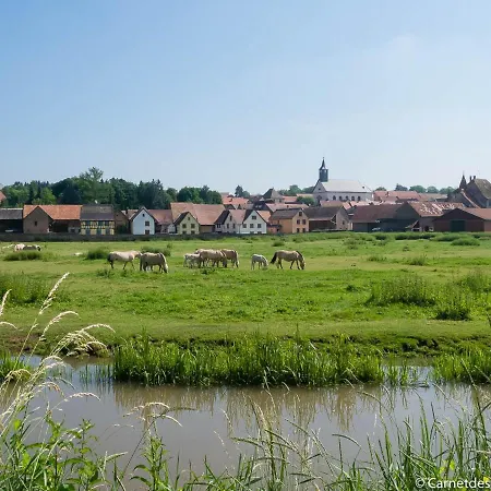 Coeur D'alsace Colmar Vignobles Ouest Avec Terrasses Villa *