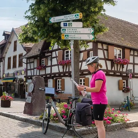 Βίλα Coeur D'alsace Colmar Vignobles Ouest Avec Terrasses