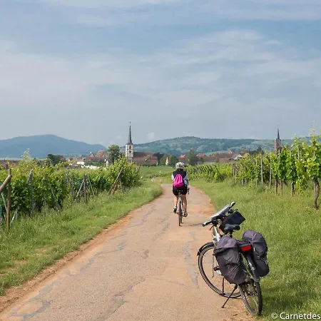 Coeur D'alsace Colmar Vignobles Ouest Avec Terrasses *