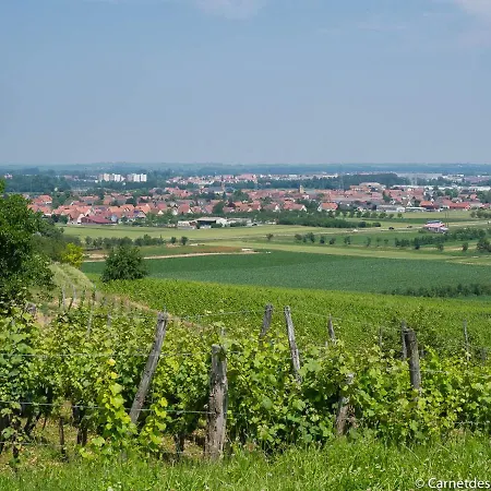 Coeur D'alsace Colmar Vignobles Ouest Avec Terrasses