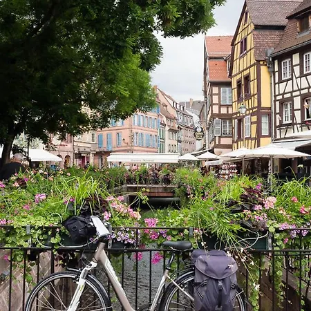 Coeur D'alsace Colmar Vignobles Ouest Avec Terrasses