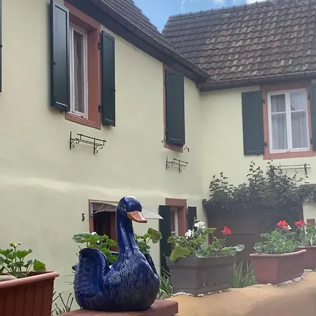 Coeur D'alsace Colmar Vignobles Ouest Avec Terrasses ヴィンツェンハイム