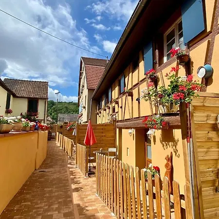 Coeur D'alsace Colmar Vignobles Ouest Avec Terrasses Villa