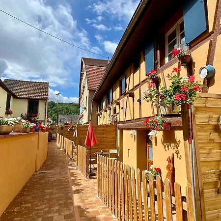 Coeur D'alsace Colmar Vignobles Ouest Avec Terrasses ヴィラ