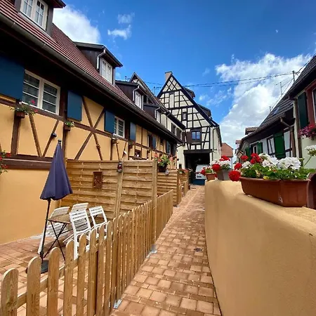 ヴィラ Coeur D'alsace Colmar Vignobles Ouest Avec Terrasses ヴィンツェンハイム