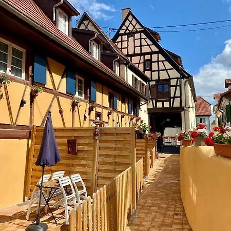 Coeur D'alsace Colmar Vignobles Ouest Avec Terrasses Villa