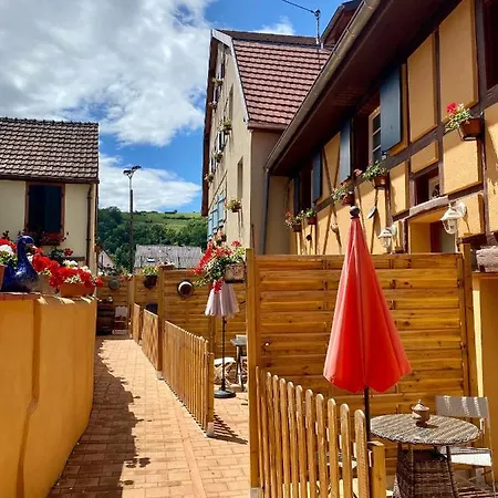 ヴィラ Coeur D'alsace Colmar Vignobles Ouest Avec Terrasses ヴィンツェンハイム