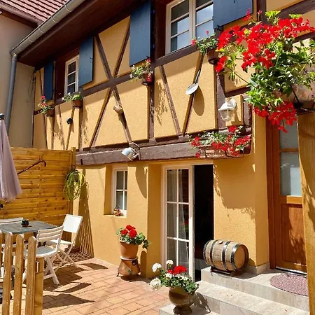 Coeur D'alsace Colmar Vignobles Ouest Avec Terrasses