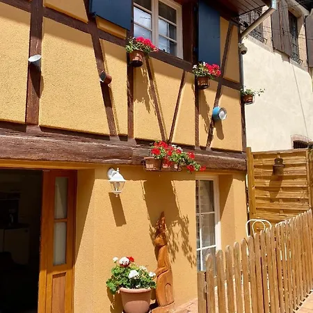 Coeur D'alsace Colmar Vignobles Ouest Avec Terrasses Villa