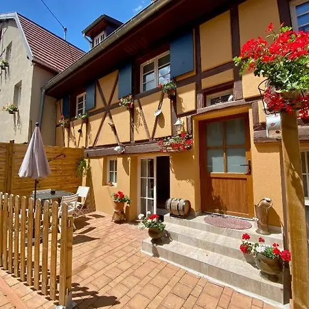 Coeur D'alsace Colmar Vignobles Ouest Avec Terrasses * Wintzenheim