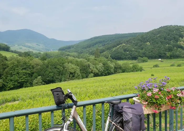Coeur D'alsace Colmar Vignobles Ouest Avec Terrasses *