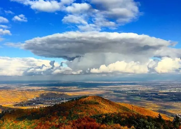 Villa Coeur D'alsace Colmar Vignobles Ouest Avec Terrasses *
