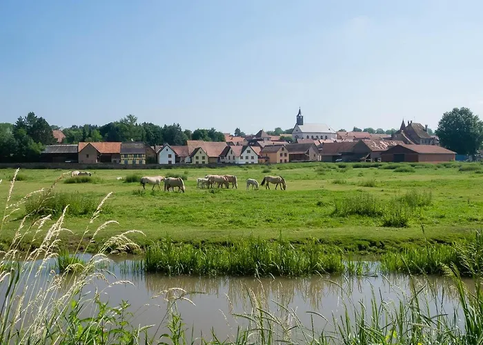Coeur D'alsace Colmar Vignobles Ouest Avec Terrasses Villa *