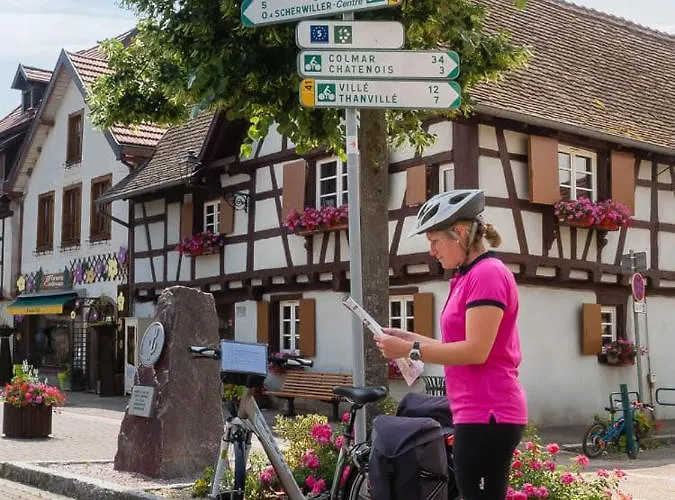 Villa Coeur D'alsace Colmar Vignobles Ouest Avec Terrasses