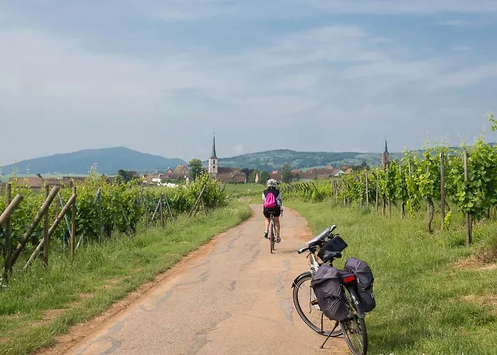Coeur D'alsace Colmar Vignobles Ouest Avec Terrasses *