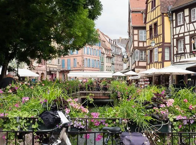 Coeur D'alsace Colmar Vignobles Ouest Avec Terrasses