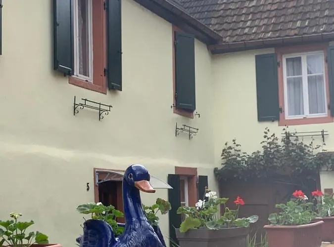 Coeur D'alsace Colmar Vignobles Ouest Avec Terrasses Wintzenheim