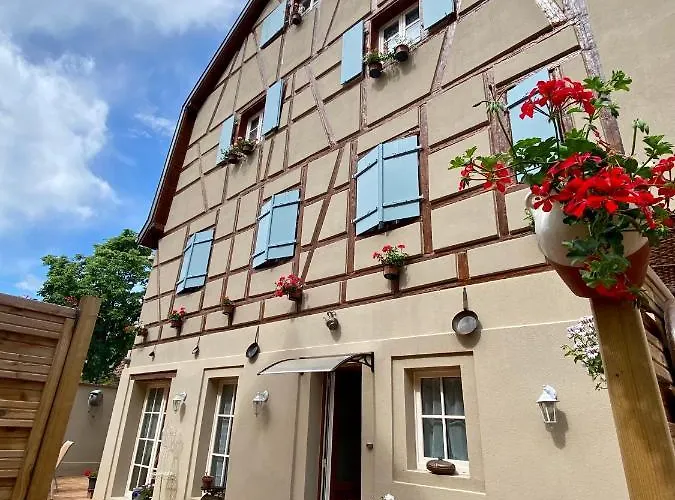 Villa Coeur D'alsace Colmar Vignobles Ouest Avec Terrasses Wintzenheim