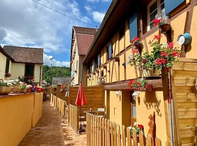 Coeur D'alsace Colmar Vignobles Ouest Avec Terrasses Villa