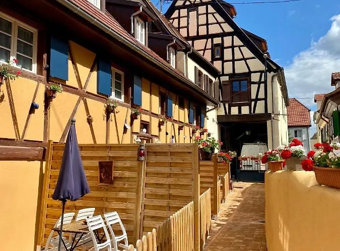 Coeur D'alsace Colmar Vignobles Ouest Avec Terrasses Villa