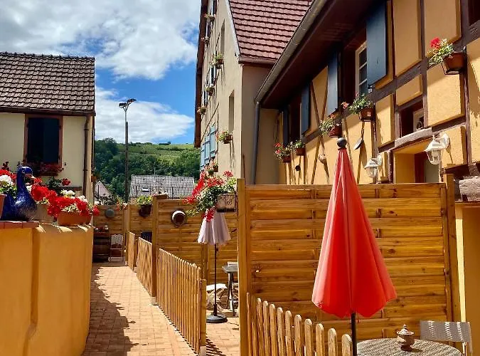 Villa Coeur D'alsace Colmar Vignobles Ouest Avec Terrasses Wintzenheim