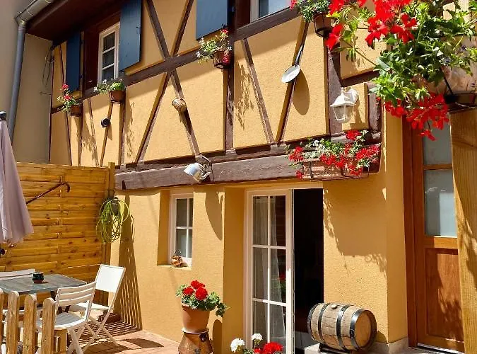 Coeur D'alsace Colmar Vignobles Ouest Avec Terrasses