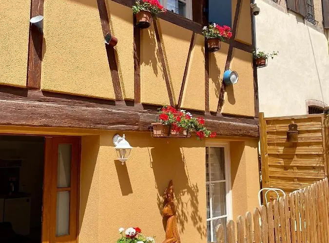 Coeur D'alsace Colmar Vignobles Ouest Avec Terrasses Villa