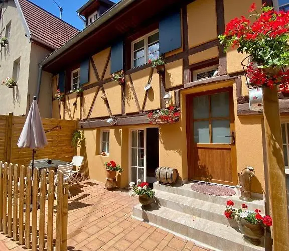 Coeur D'alsace Colmar Vignobles Ouest Avec Terrasses * Wintzenheim