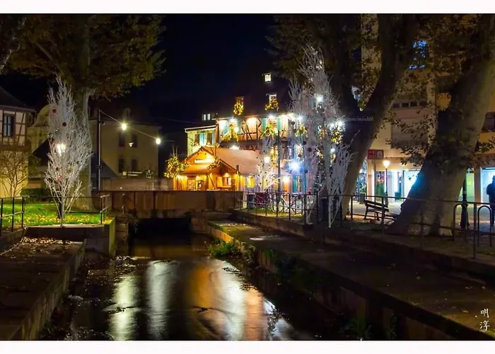 Coeur D'alsace Colmar Vignobles Ouest Avec Terrasses Villa Wintzenheim