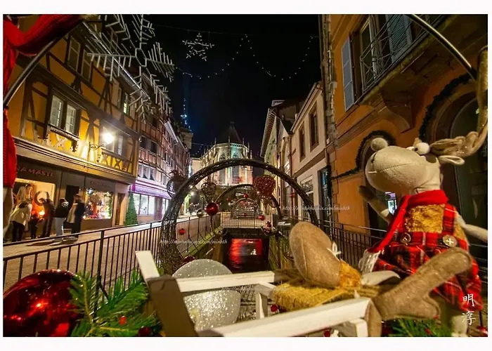 Coeur D'alsace Colmar Vignobles Ouest Avec Terrasses *